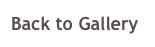 Back to Gallery